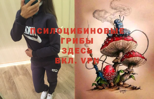 мяу мяу мука Абинск